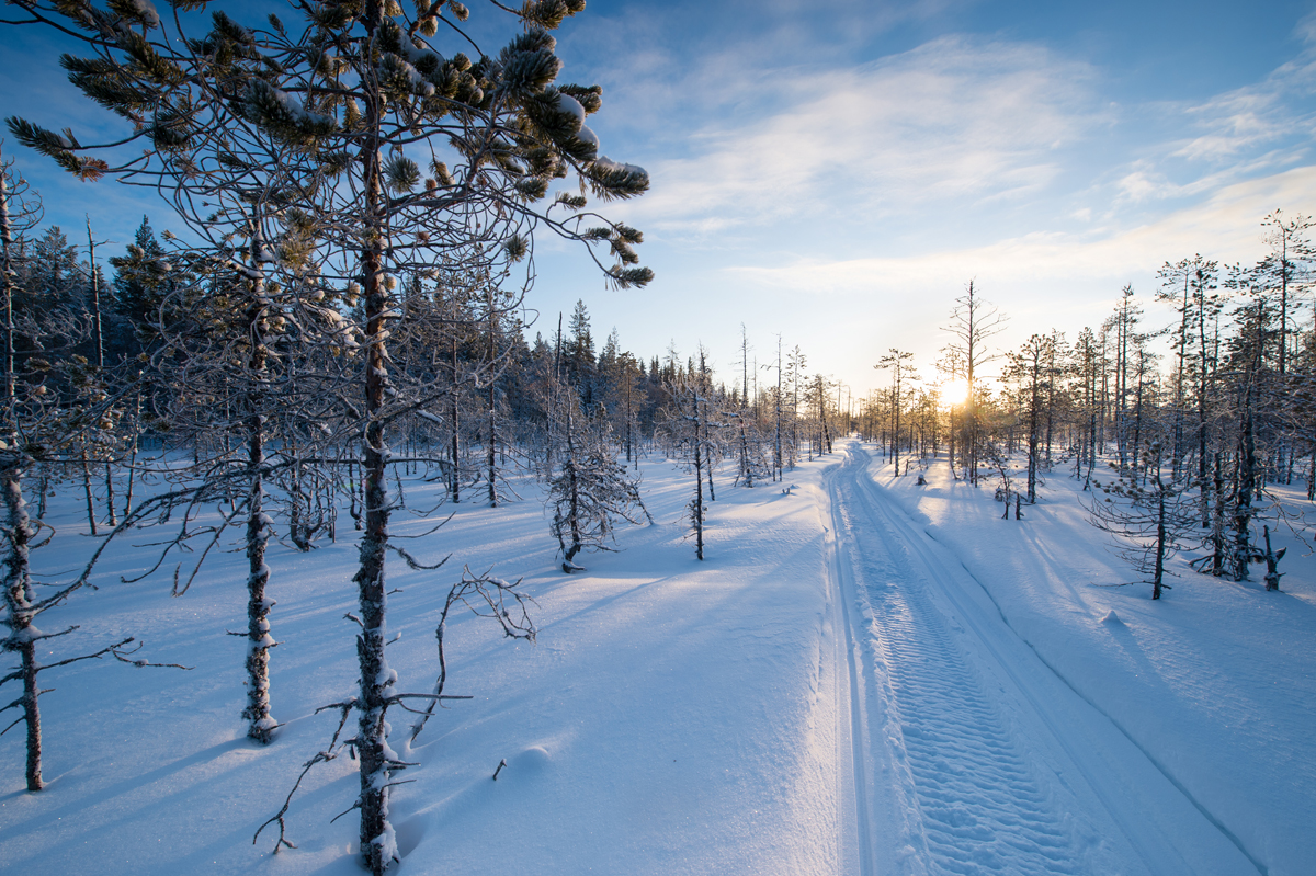 Тур на снегоходах в Карелии зимой - северный прорыв лайт