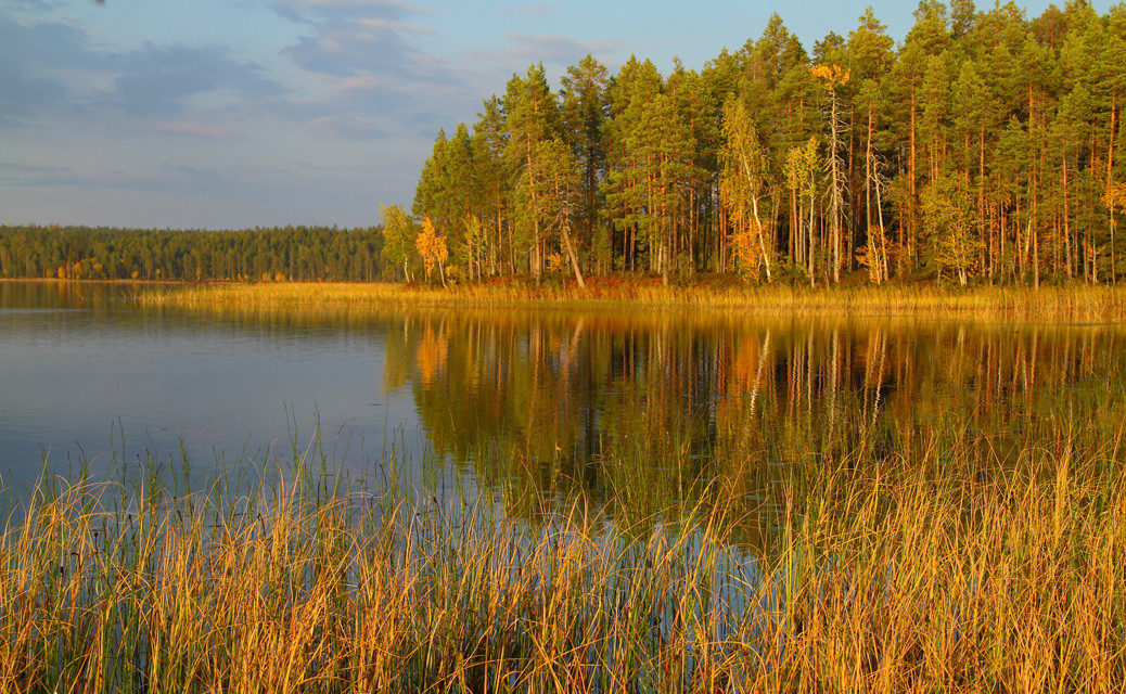 Карелия осенью фото