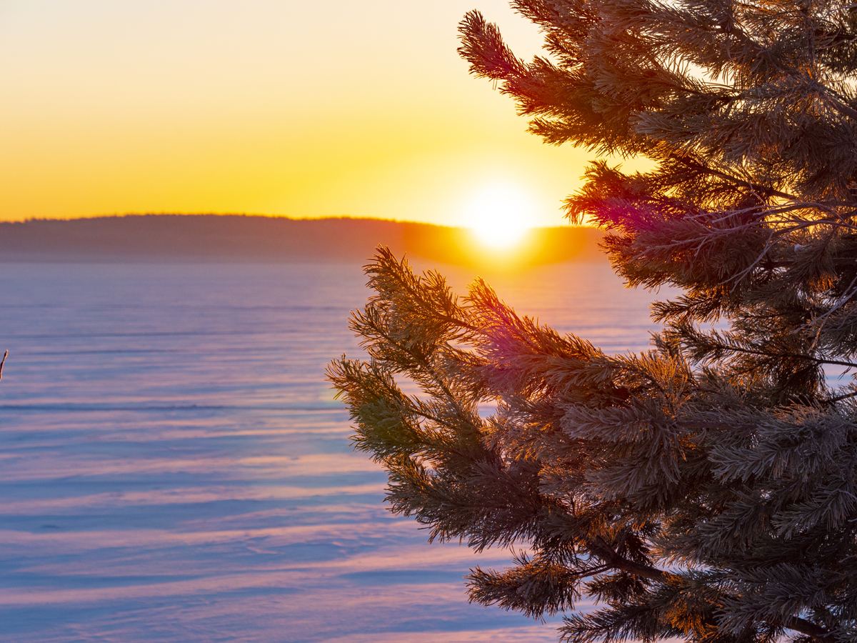 Синдром Калевалы 15 причин отдохнуть зимой в Северной Карелии