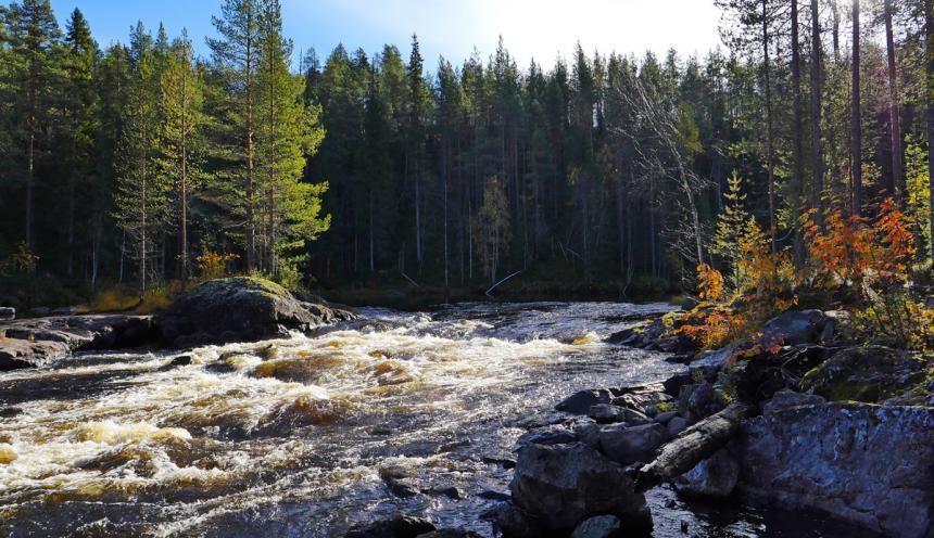 Водопад Куми Карелия