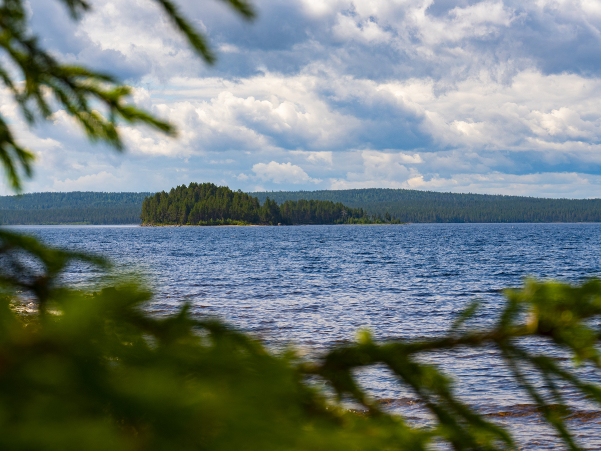 Go karelia. лесные пожары в карелии на карте. карелия 4л. тур в карелию. база отдыха шишки зимой.