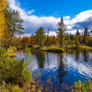 7+ причин отдохнуть осенью в северной Карелии