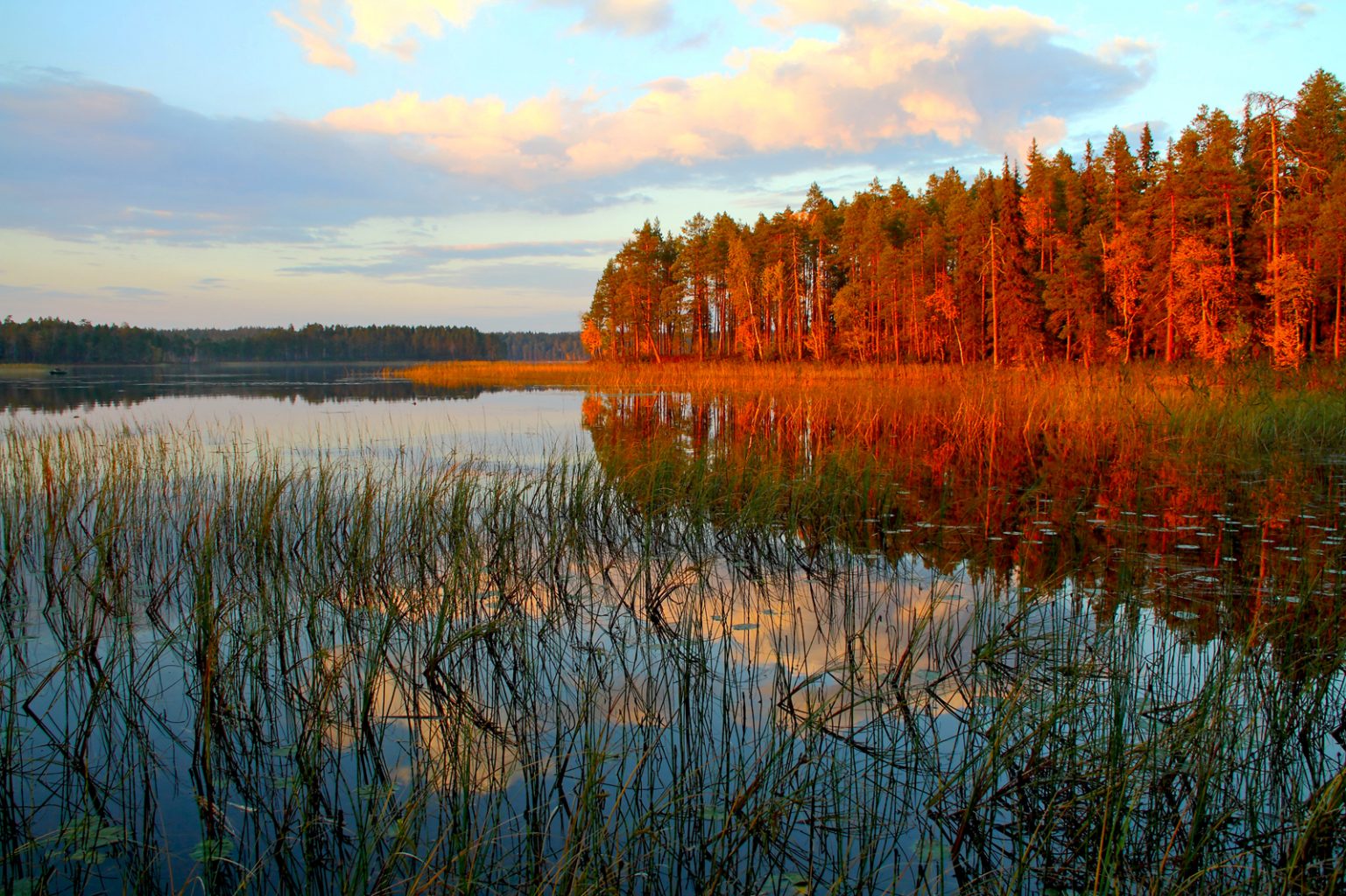 Апрель в карелии фото