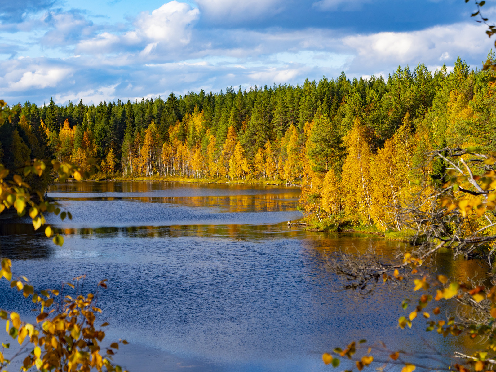 Осень Золотая Карелия Сегежа