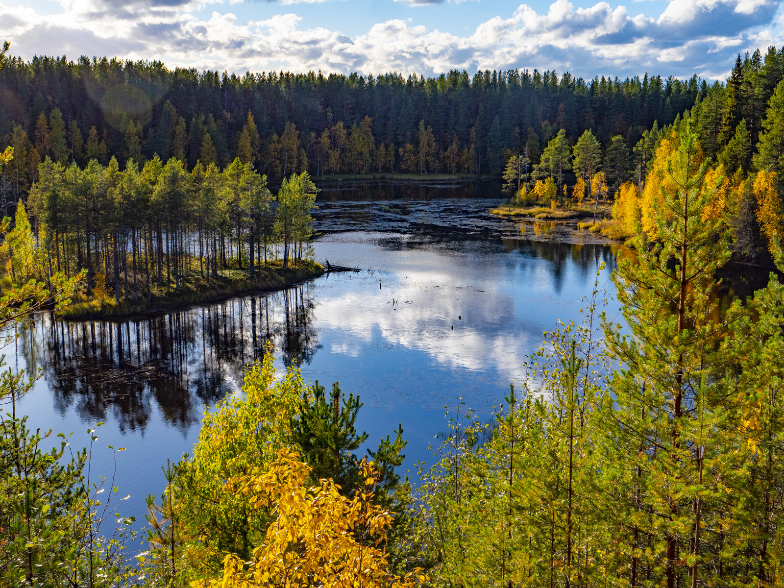 Ламбушки карелии фото