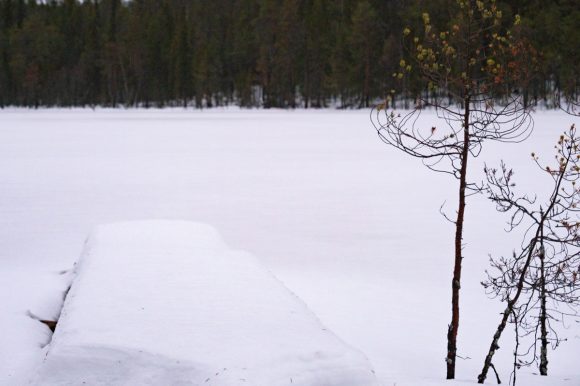 Отдых в Карелии на берегу озера Муасъярви зимой изба Приют рыбака