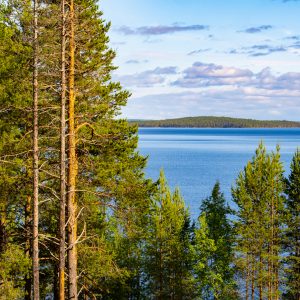 Что можно и нельзя туристам на отдыхе в Карелии с 1 июня