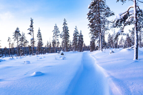 Тур на снегоходах в Карелии северный прорыв