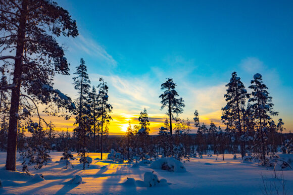 Тур на снегоходах в Карелии северный прорыв