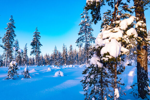 Тур на снегоходах в Карелии северный прорыв