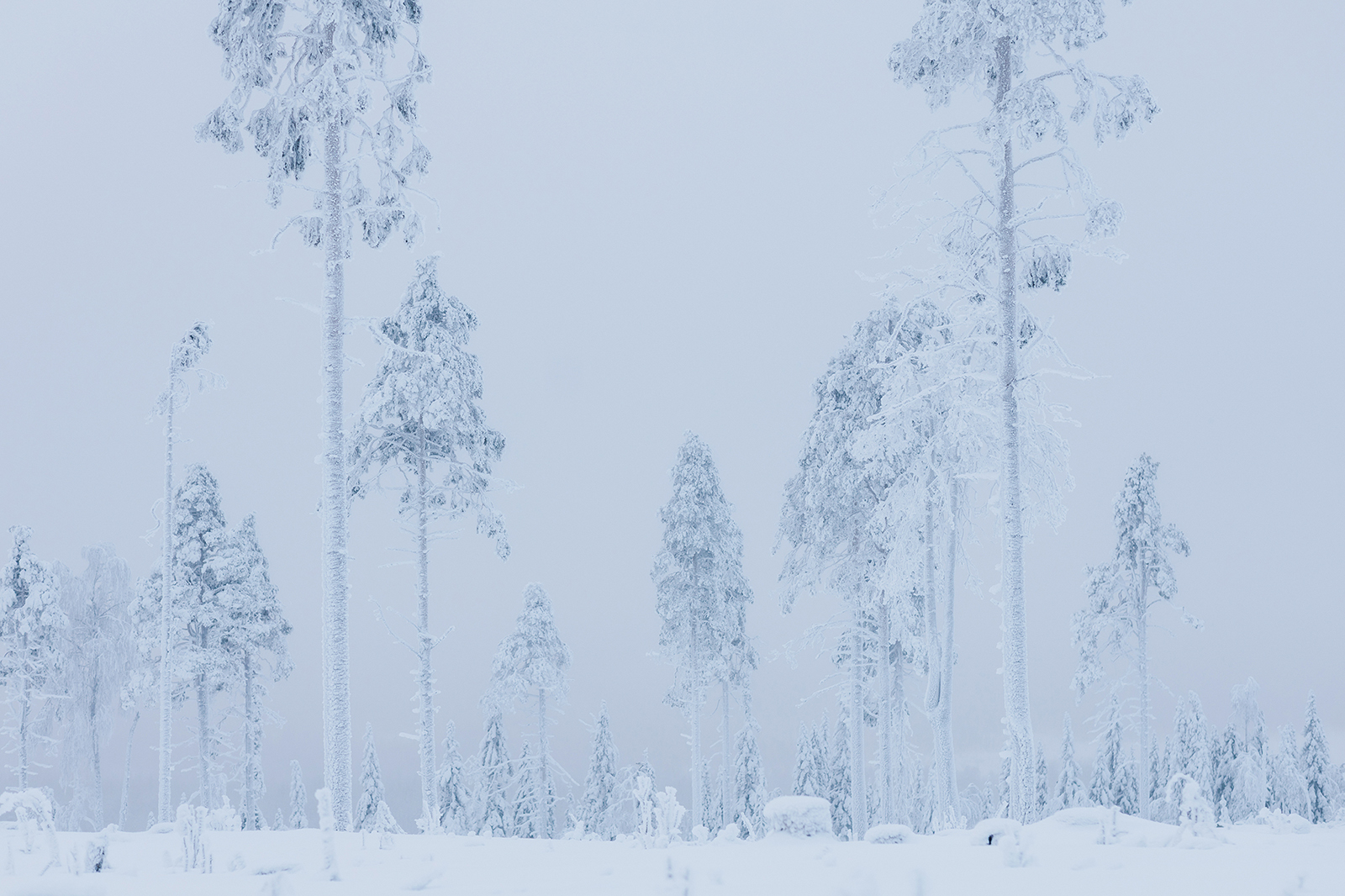 снегоходный тур Карелия Калевала 019