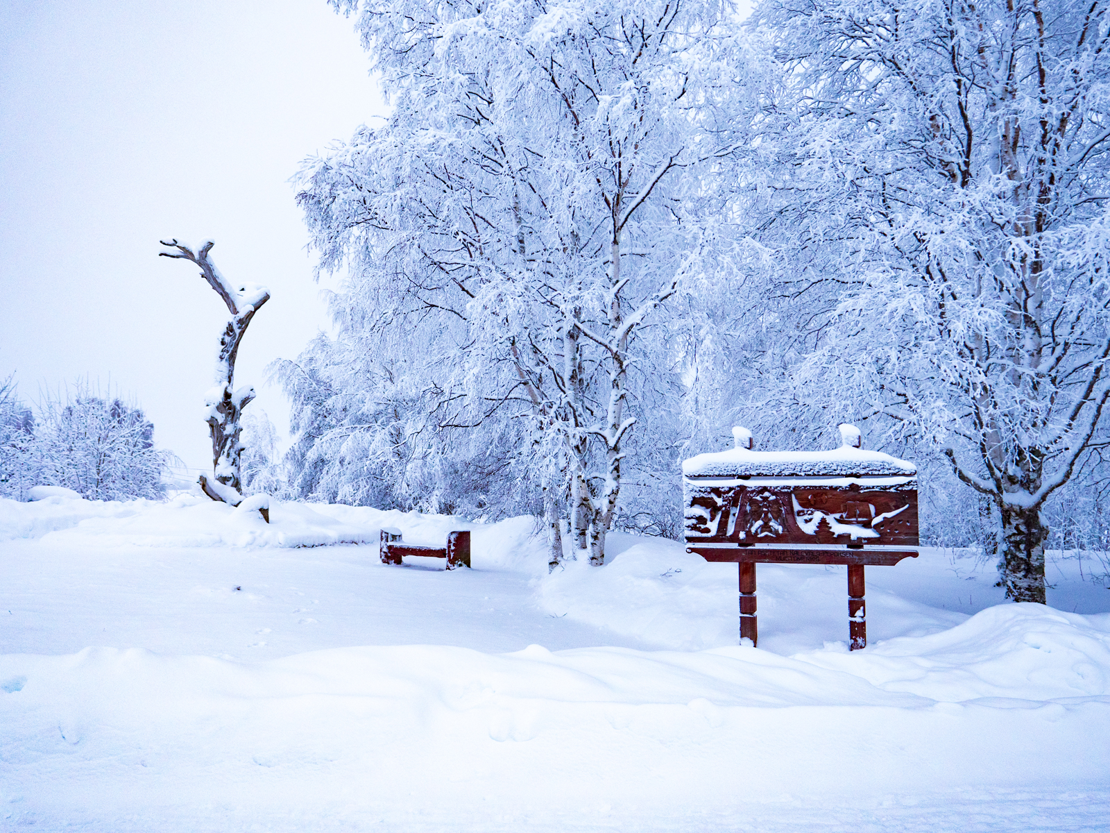 тур на снегоходах в Карелии