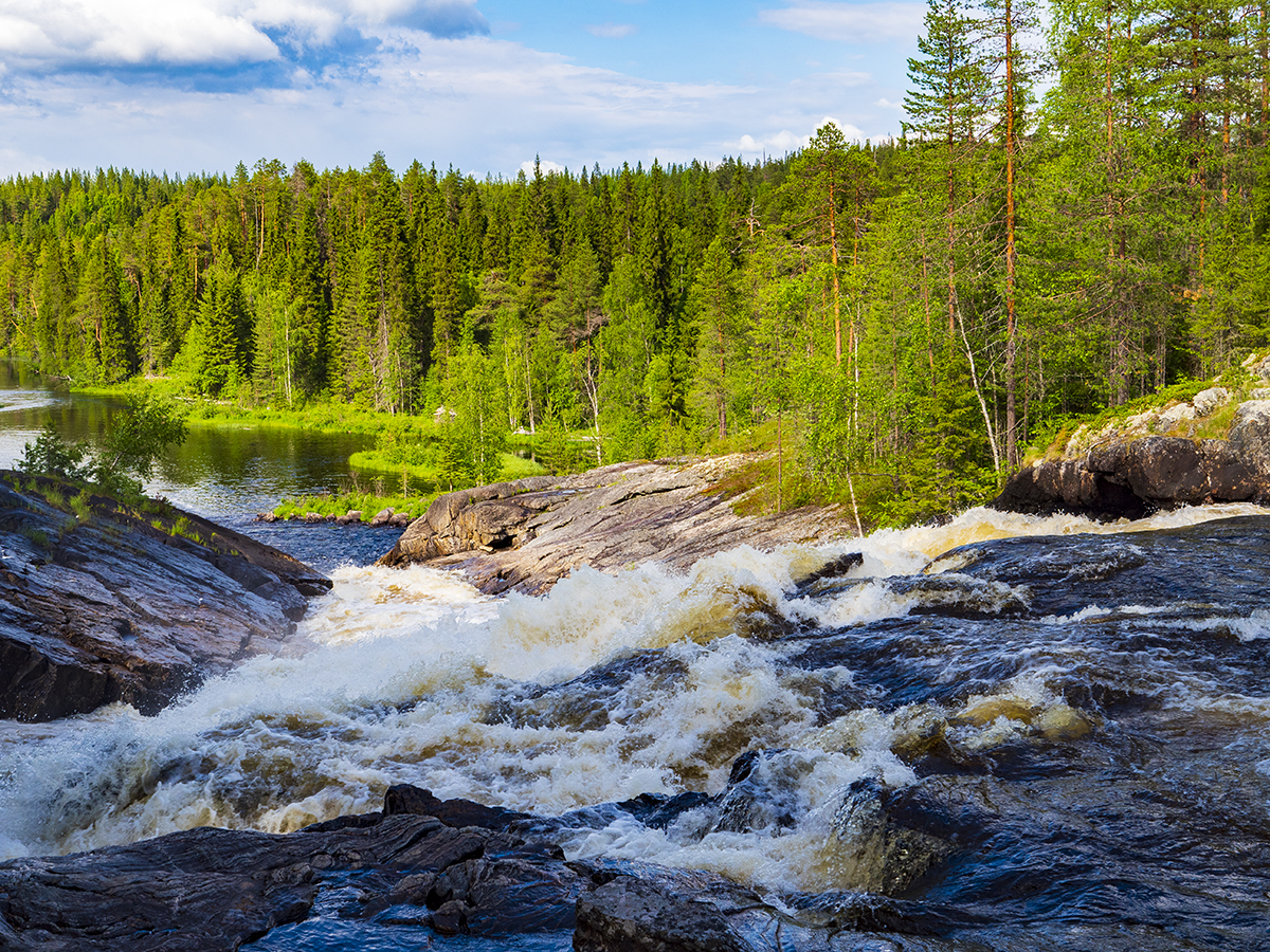 Река летняя карелия фото