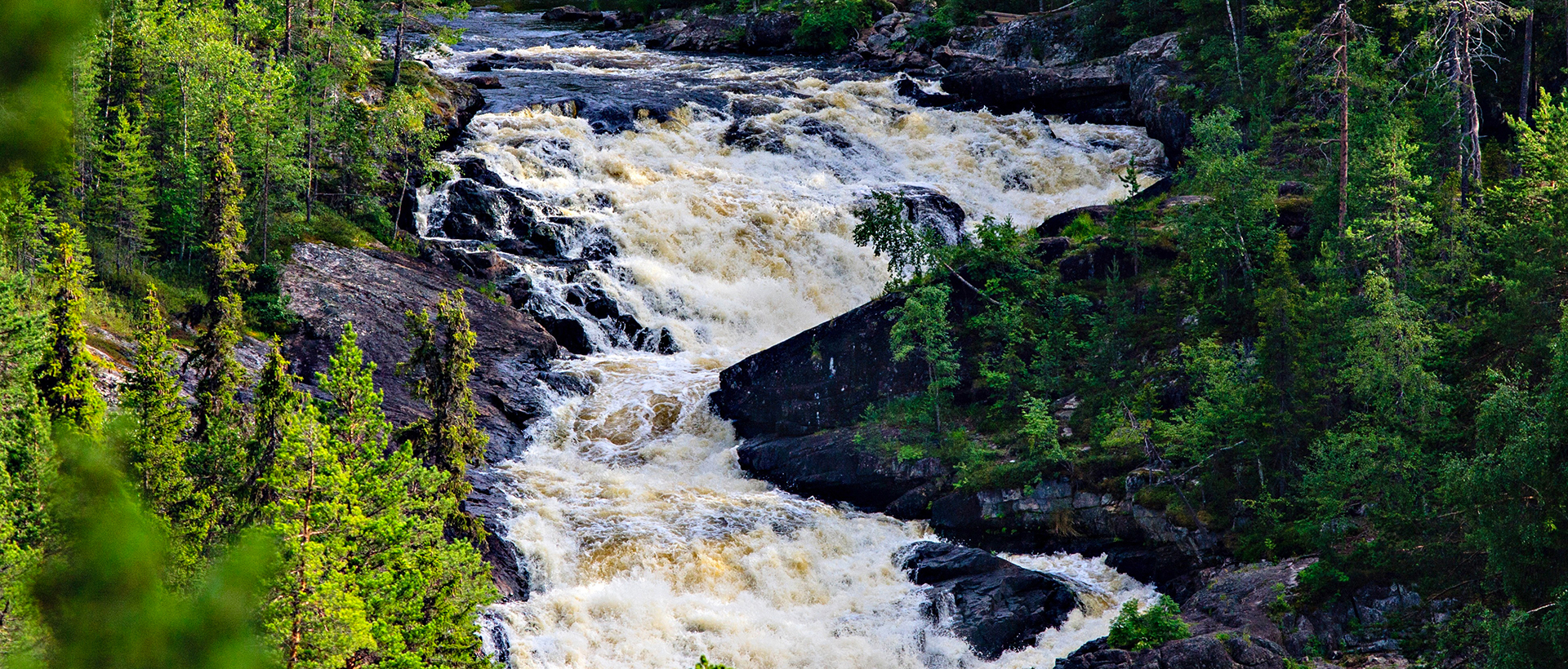 Тайгапад - тур в Карелию летом Калевала