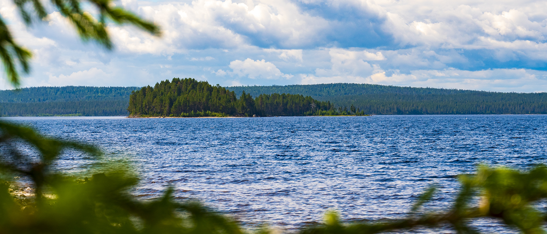 Цены на отдых в Карелии летом