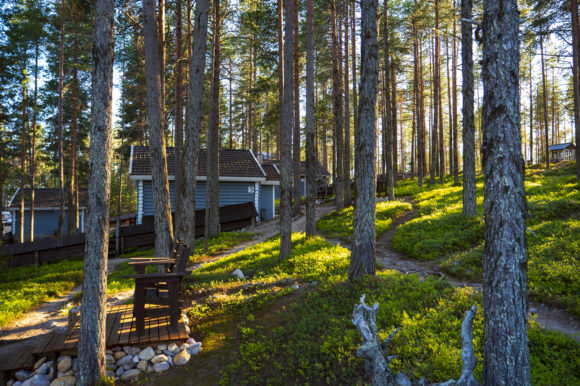 в Карелии коттедж номер 5 Семейный