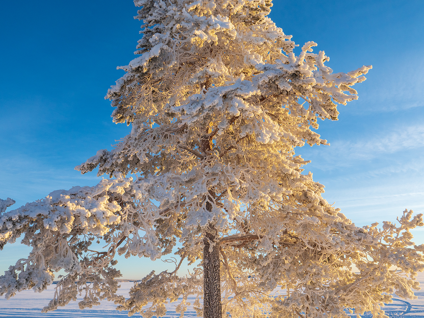отдых в коттедже зимой