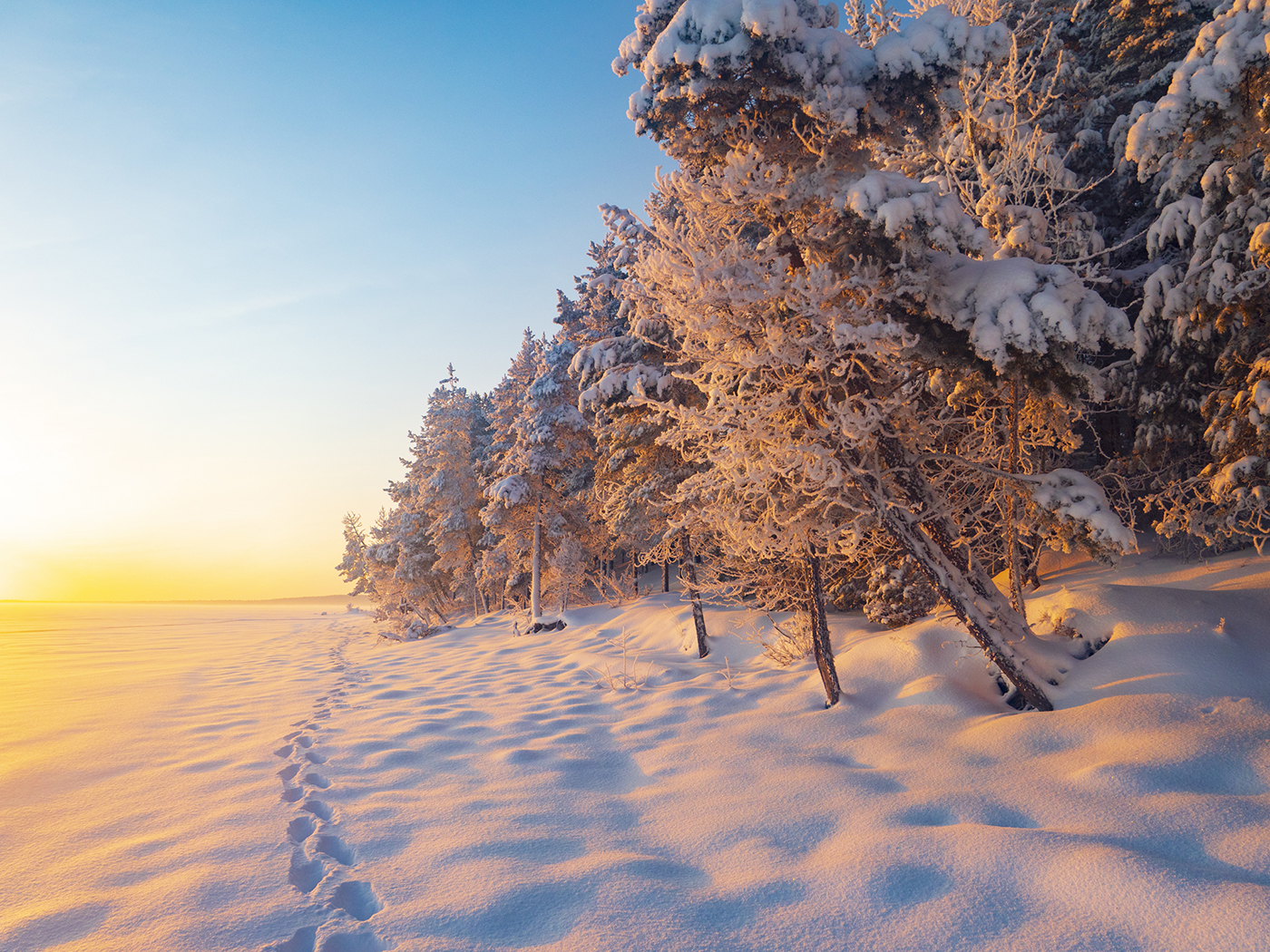 отдых в коттедже зимой