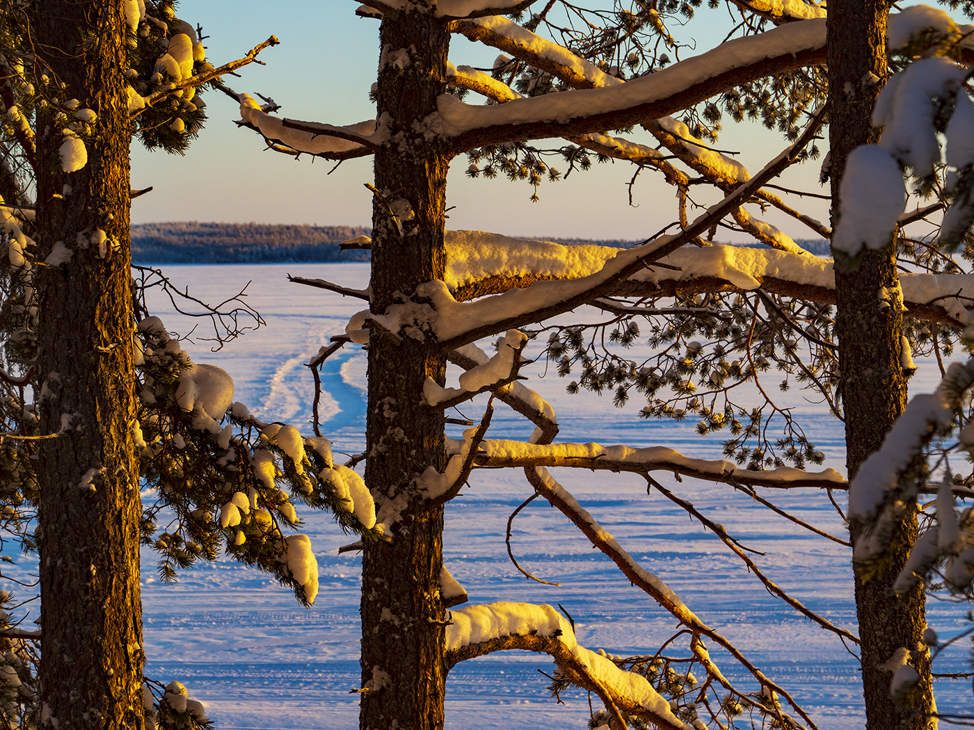 отдых в коттедже зимой