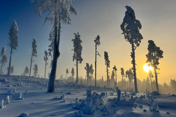 снегоходный тур Северный прорыв Калевала