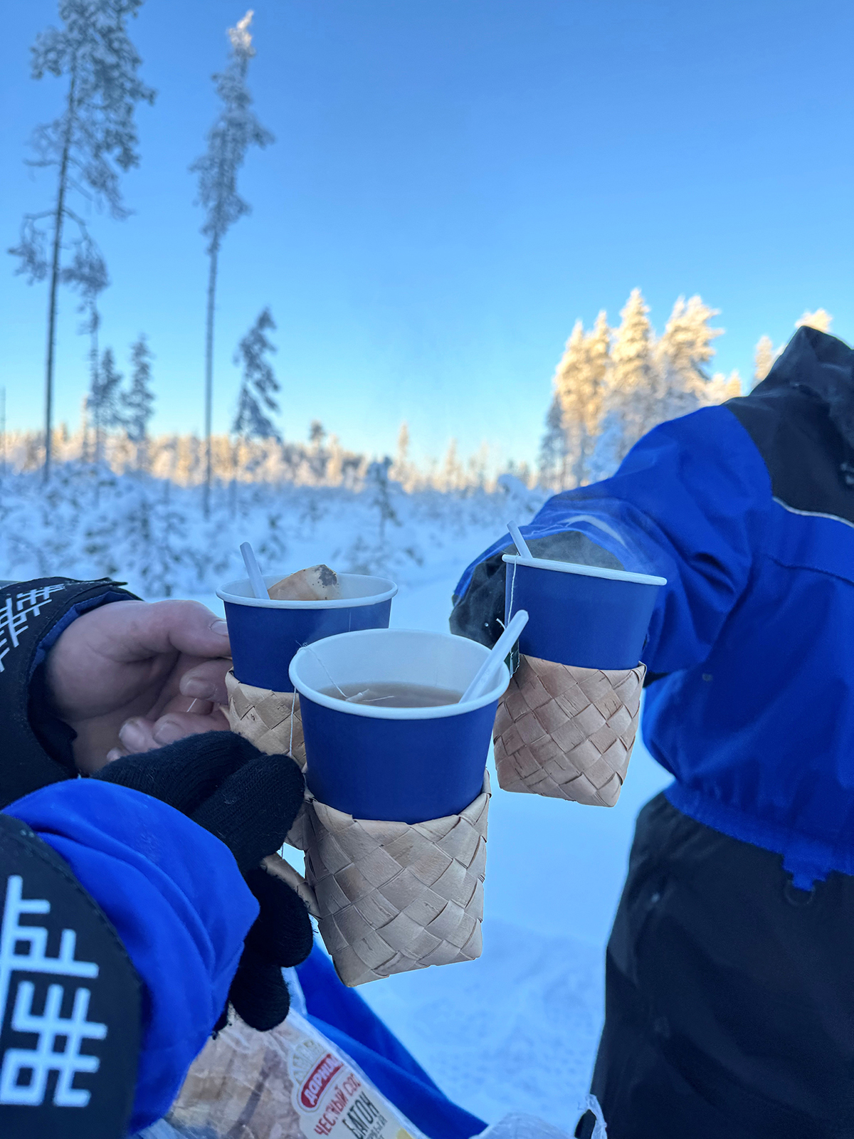 тур на снегоходах в Карелии Северный прорыв