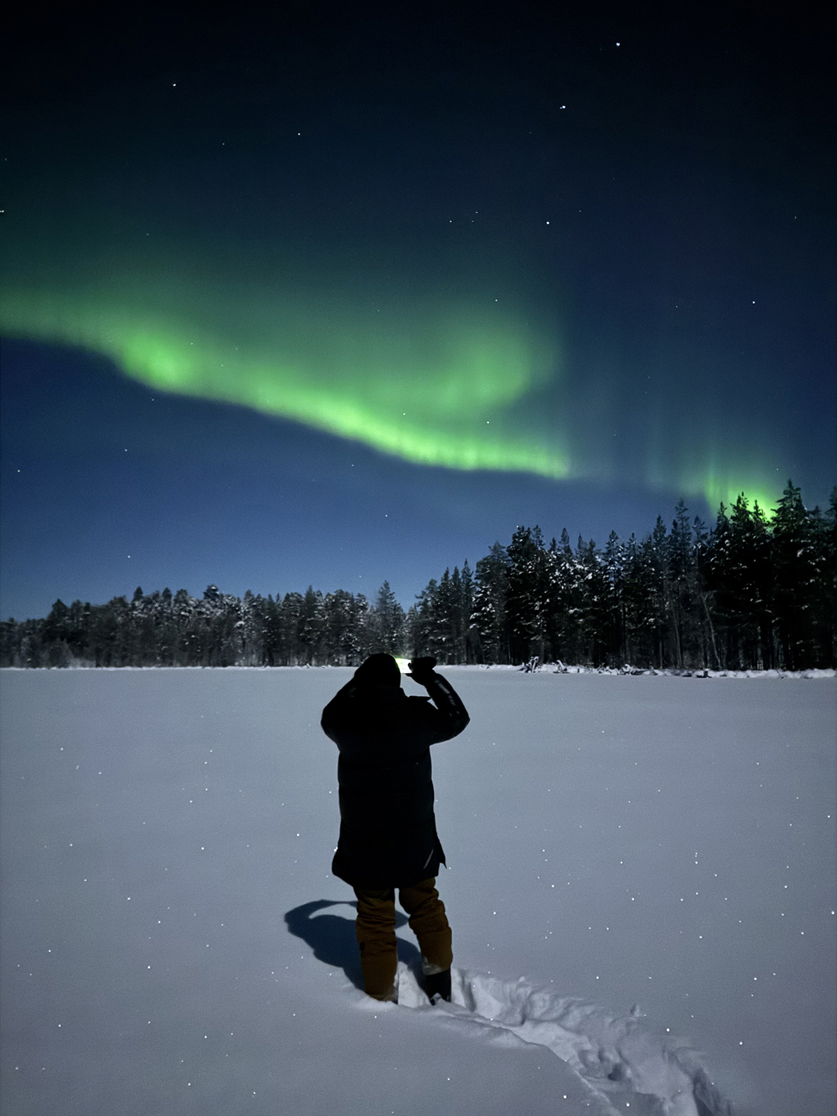 тур на снегоходах в Карелии Северный прорыв