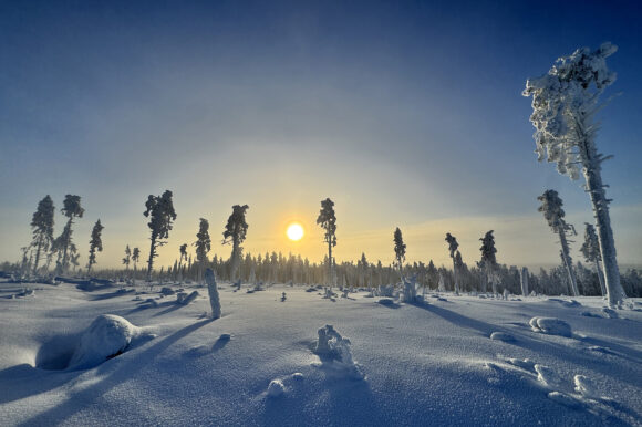 тур на снегоходах в Карелии Северный прорыв