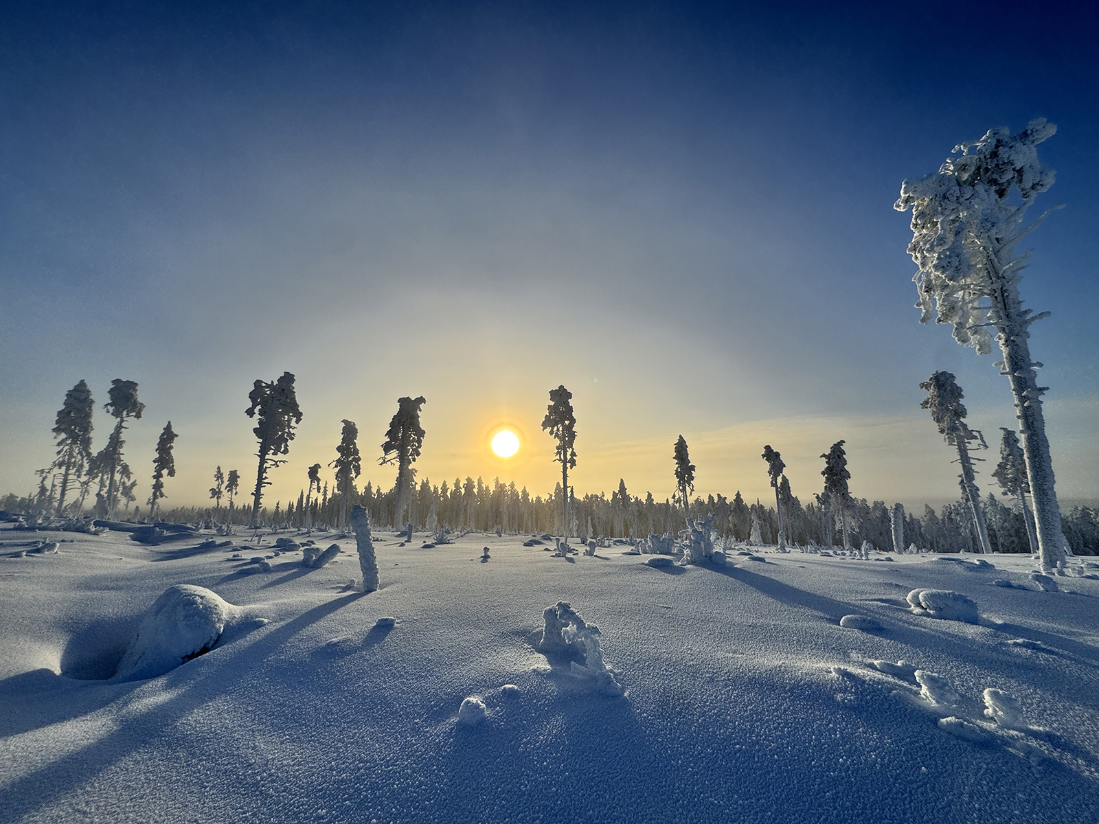 тур на снегоходах в Карелии Северный прорыв