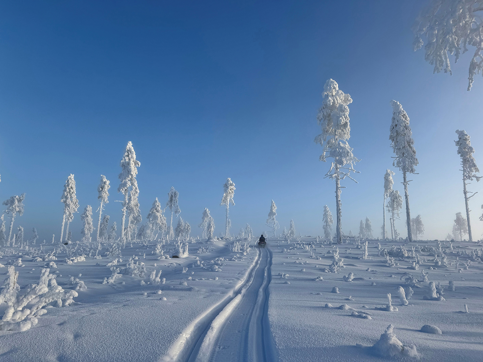 тур на снегоходах в Карелии Северный прорыв