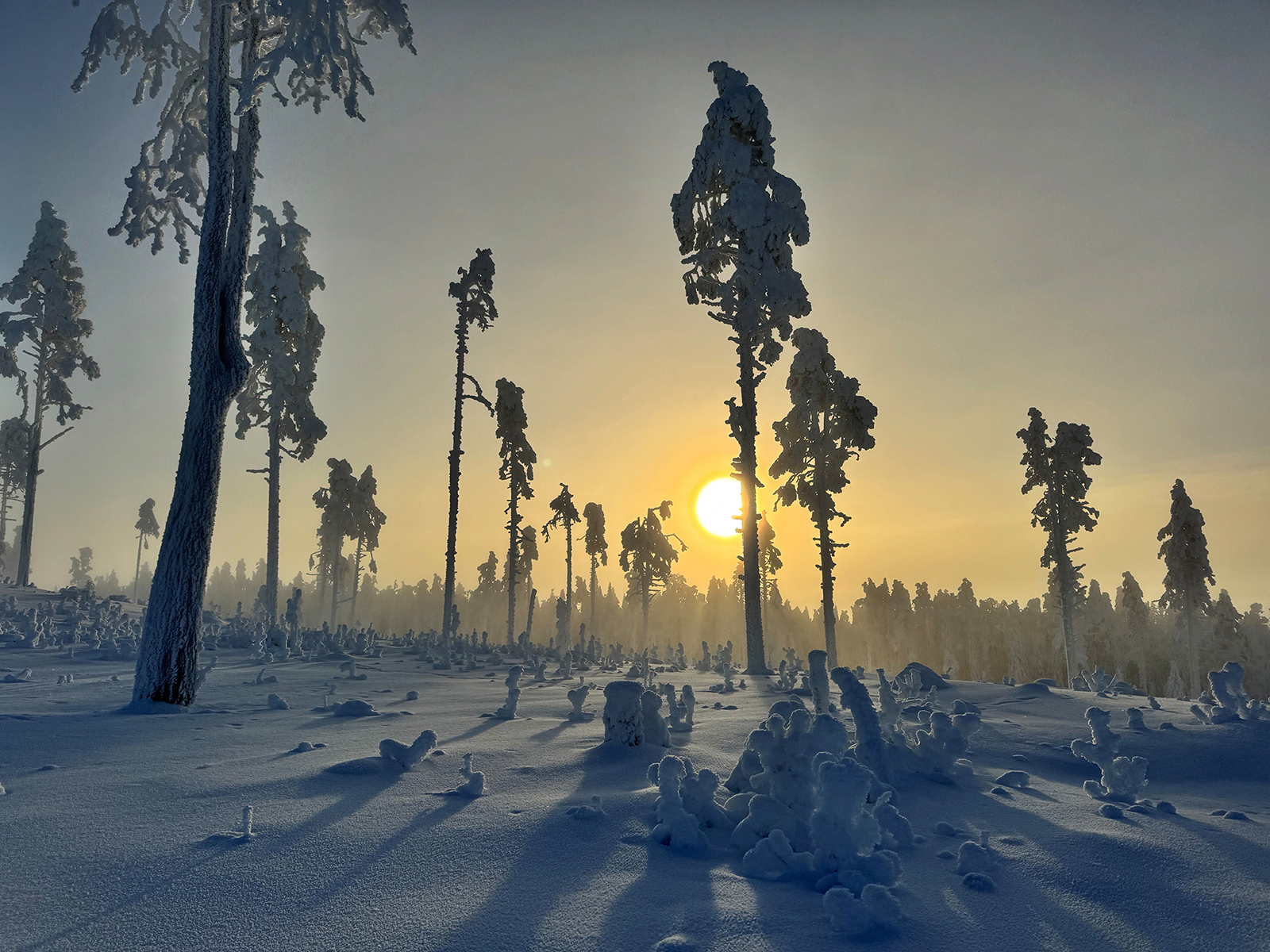 тур на снегоходах в Карелии Северный прорыв