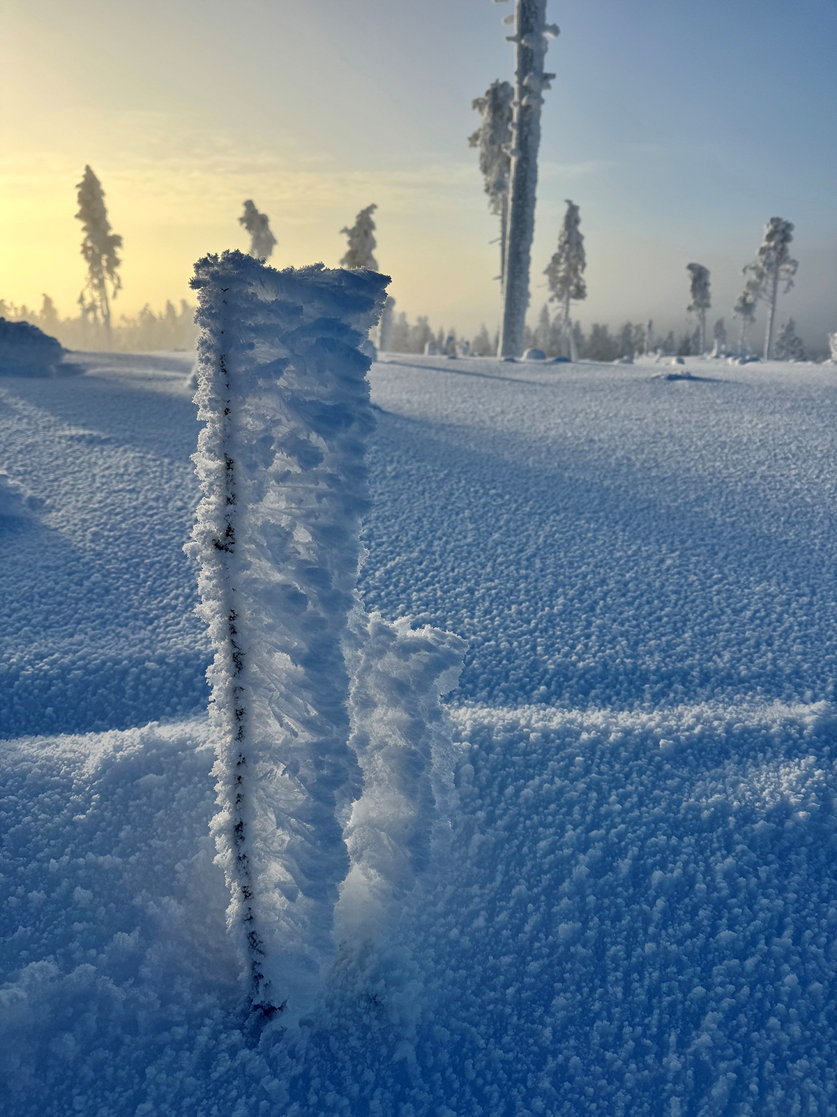 тур на снегоходах в Карелии Северный прорыв