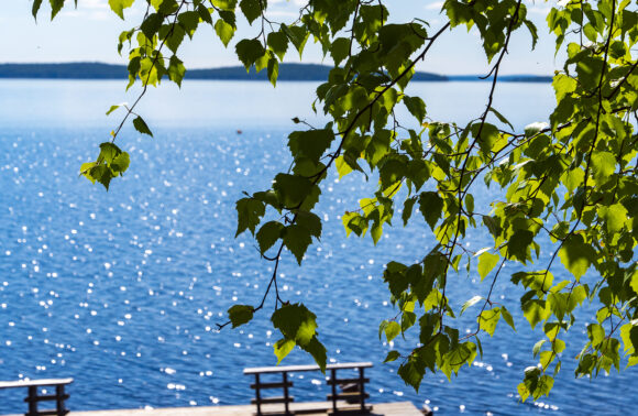 Открываем летний сезон на турбазе 23 мая