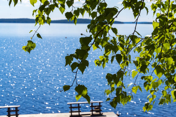 Открываем летний сезон на турбазе 23 мая